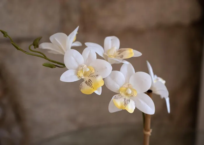 St Ildefonso 04 아파트