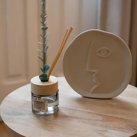 Daire St Ildefonso 04